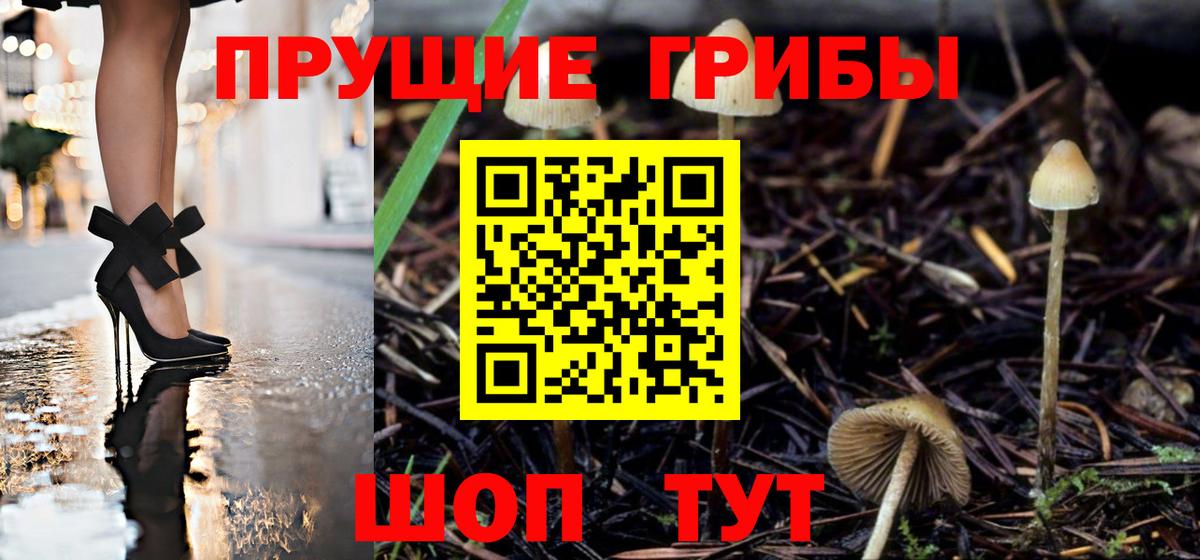 Галлюциногенные грибы прущие грибы  Вход с VPN  Воркута 
